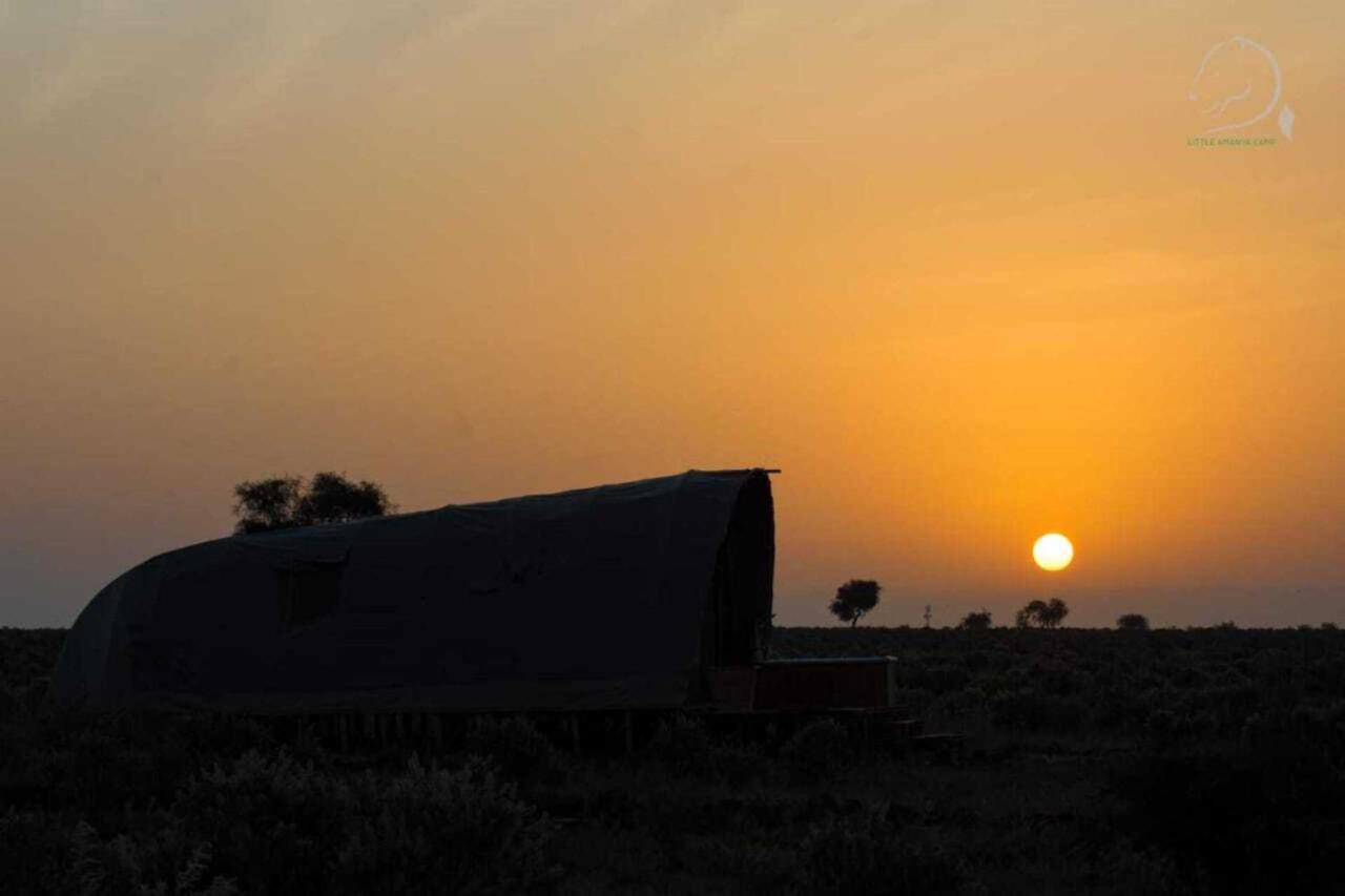 Amanya 1 -Bed King Lion Tent Amboseli Buitenkant foto