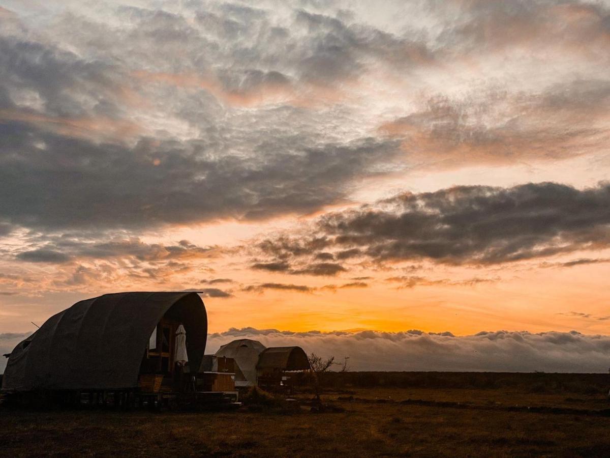 Amanya 1 -Bed King Lion Tent Amboseli Buitenkant foto